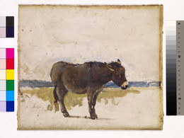 1907P349 Study of a Donkey