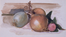 1927P547 Still-Life - Study of Onions