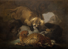 1972P31 Lion And A Leopard