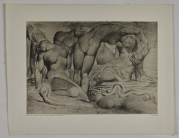 1978P189.102 Plate 102, untitled