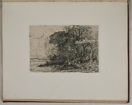 1979P46.26 Untitled scene with a copse