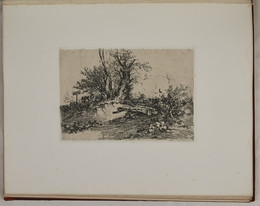 1979P46.25 Untitled scene with standing and felled trees