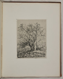 1979P46.30 Untitled scene with trees