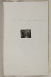 1911P81.18 Wessex Poems - Her death and after (tailpiece)