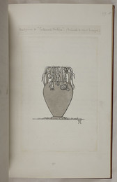1911P81.27 Wessex Poems - External Nature (Headpiece)