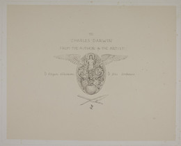 1978P187.2 The First of May, Engraving from Folio, Dedication to Charles Darwin, Plate 2