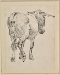 1906P814 Study of an Ass from behind