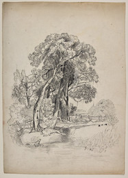 1906P971 Study of Trees Beside a Stream (after John Sell Cotman)