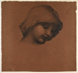 1904P221 King Cophetua and the Beggar Maid - Study of Boy's Head
