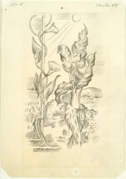 1952P20.11 Design for the Garden of Cyrus - the Circles of the Large Roots of Briony and Mandrake