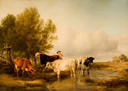 1927P276 Cattle in a Stream