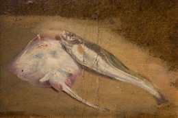 1927P666 Study of Fish - Skate and Cod