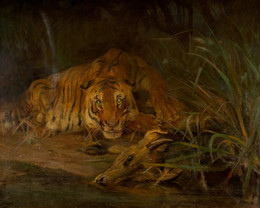 1929P532 Tiger And Prey