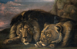 1935P72 Sleeping Lion and Lioness