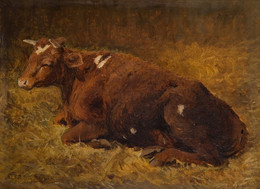 1934P262 A Cow Lying On The Ground