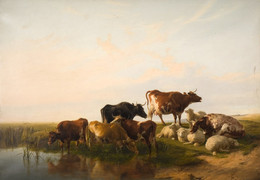 1941P456 Landscape With Cattle And Sheep