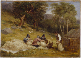 1885P2508 Sheep Shearing