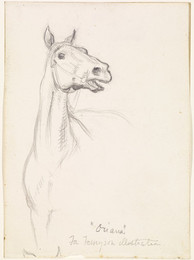 1985P77 The Ballard of Oriana - Study of a Horse