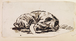 1985P81 Study of a Sleeping Cat