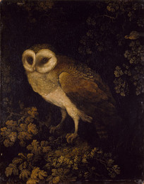 1935P76 An Owl