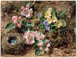 1905P166 Birds Nest, Apple Blossom and Primroses