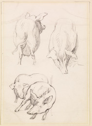 1906P987 Three Studies of Pigs