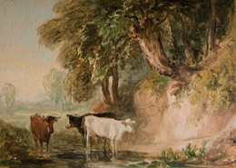 1977V176 Pastoral Scene With Cattle