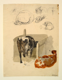 1927P816 Seven Studies of Cattle