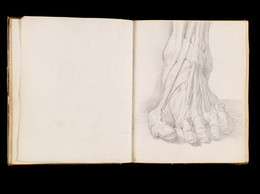 1951P120.24 Sketchbook - An Ecorché Foot