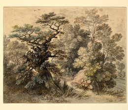 1953P192 Study of Trees