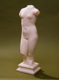 1973P41 Female Nude Torso