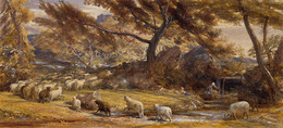 1953P288 Sheep Crossing A Stream