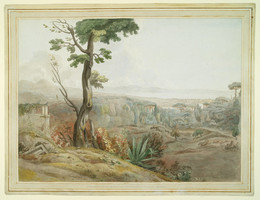 1953P293 The Bay of Naples from Capodimonte