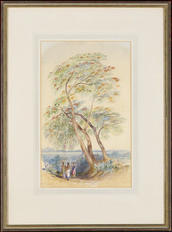1991P93 Tree Study, Trichinopoly, India