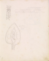 1952P6.68 Sketch of details of embroidery decoration