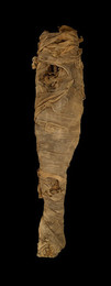 1894A14 Mummy