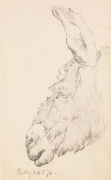 1906P819 A Nightmare - Study of the Head of an Ass
