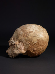 1964A27 Plastered Human Skull