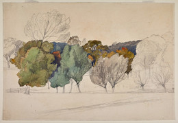 1906P871 Landscape Sketch with Trees (probably Norfolk)