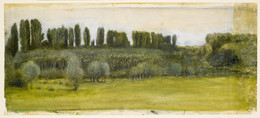 1954P60 Landscape - Study