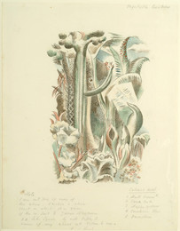 1952P20.2.2 Design for the Garden of Cyrus - Vegetable Creation