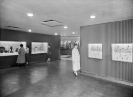 4667 Gallery I 1958